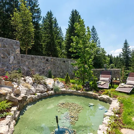 Cozy Forest Hill Ravna Gora