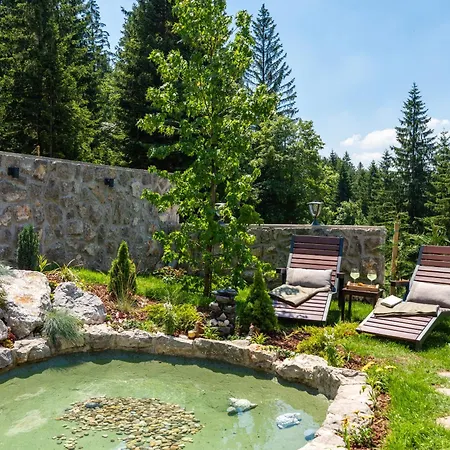 Chalet Cozy Forest Hill Ravna Gora