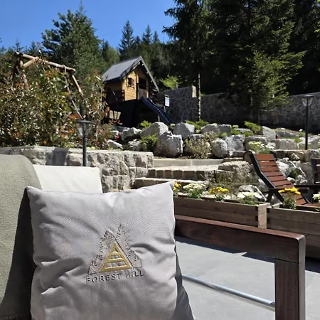 Forest Hill Chalet Ravna Gora
